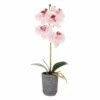 New 😀 Mikasa® 15 Inch Faux Orchid in Charcoal Pot, Watercolor Pink 🌟 2 New 😀 Mikasa® 15 Inch Faux Orchid in Charcoal Pot, Watercolor Pink 🌟 -Mikasa Sales 2023 15 inch faux orchid in charcoal pot watercolor pink 5275279 1