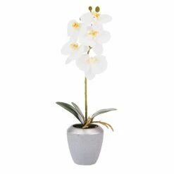 Cheap 👍 Mikasa® 15 Inch Faux Orchid in Grey Pot, Rosewood ✨