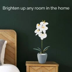 Cheap 👍 Mikasa® 15 Inch Faux Orchid in Grey Pot, Rosewood ✨ 8 Cheap 👍 Mikasa® 15 Inch Faux Orchid in Grey Pot, Rosewood ✨ -Mikasa Sales 2023 15 inch faux orchid in grey pot rosewood 5275277 3