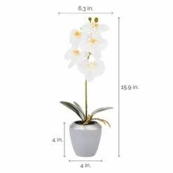 Cheap 👍 Mikasa® 15 Inch Faux Orchid in Grey Pot, Rosewood ✨ 9 Cheap 👍 Mikasa® 15 Inch Faux Orchid in Grey Pot, Rosewood ✨ -Mikasa Sales 2023 15 inch faux orchid in grey pot rosewood 5275277 4