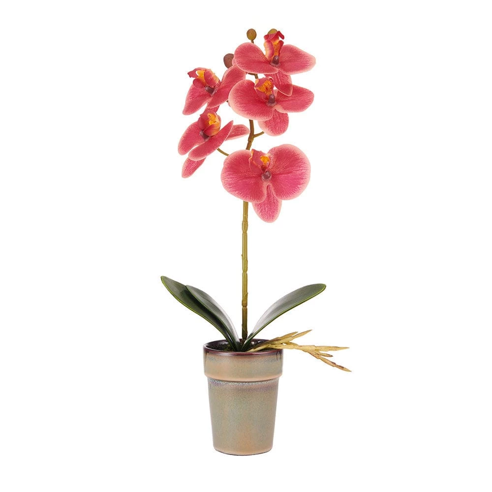 Hot Sale ✔️ Mikasa® 15 Inch Faux Orchid in Pot, Rosewood 🌟 3 Hot Sale ✔️ Mikasa® 15 Inch Faux Orchid in Pot, Rosewood 🌟
