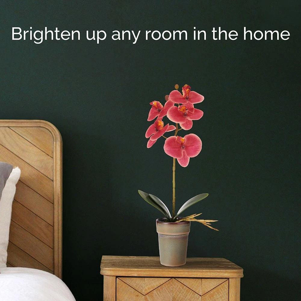 Hot Sale ✔️ Mikasa® 15 Inch Faux Orchid in Pot, Rosewood 🌟 4 Hot Sale ✔️ Mikasa® 15 Inch Faux Orchid in Pot, Rosewood 🌟 - Image 2