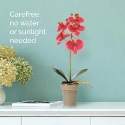 Hot Sale ✔️ Mikasa® 15 Inch Faux Orchid in Pot, Rosewood 🌟 8 Hot Sale ✔️ Mikasa® 15 Inch Faux Orchid in Pot, Rosewood 🌟 -Mikasa Sales 2023 15 inch faux orchid in pot rosewood 5254405 3