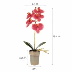 Hot Sale ✔️ Mikasa® 15 Inch Faux Orchid in Pot, Rosewood 🌟 9 Hot Sale ✔️ Mikasa® 15 Inch Faux Orchid in Pot, Rosewood 🌟 -Mikasa Sales 2023 15 inch faux orchid in pot rosewood 5254405 4