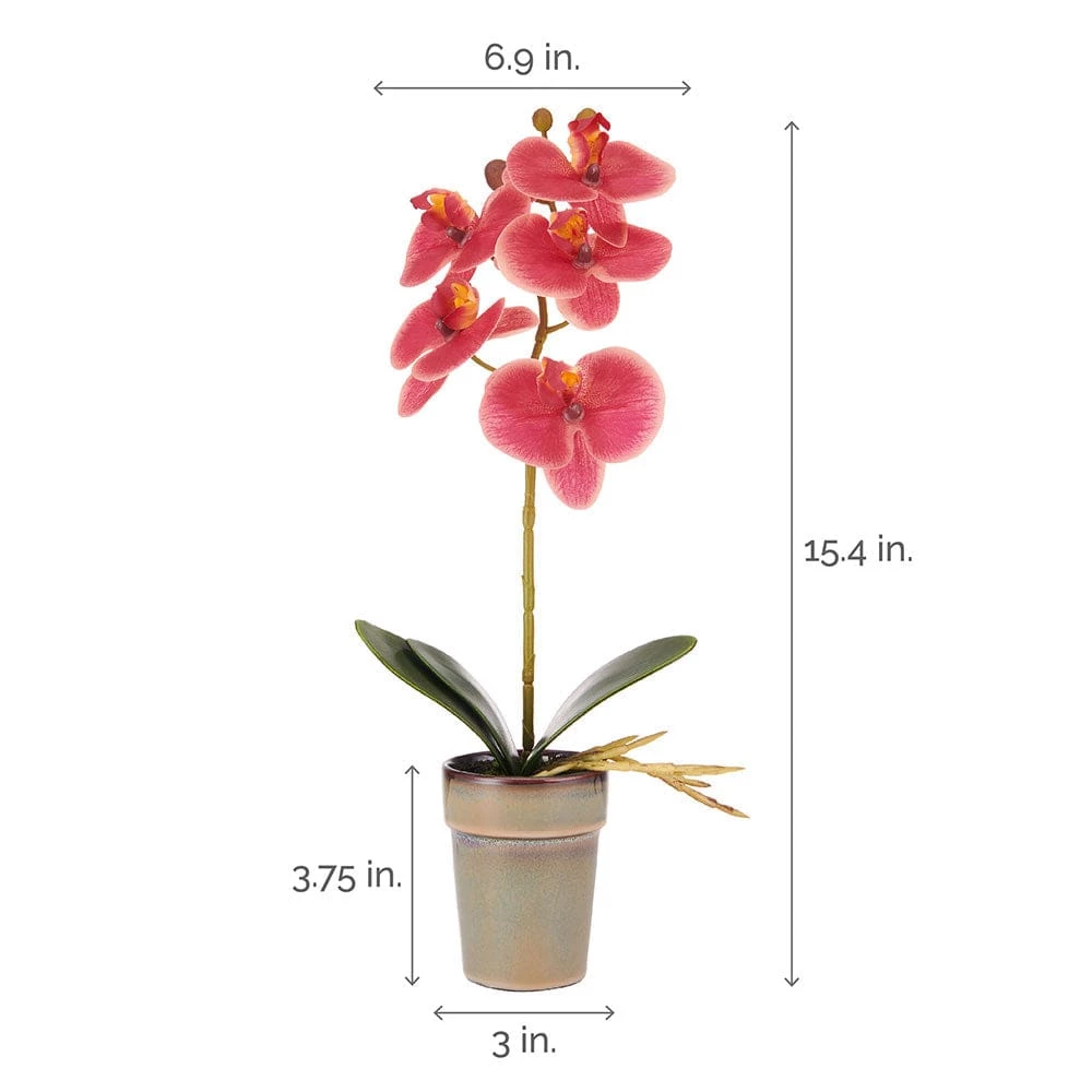 Hot Sale ✔️ Mikasa® 15 Inch Faux Orchid in Pot, Rosewood 🌟 6 Hot Sale ✔️ Mikasa® 15 Inch Faux Orchid in Pot, Rosewood 🌟 - Image 4