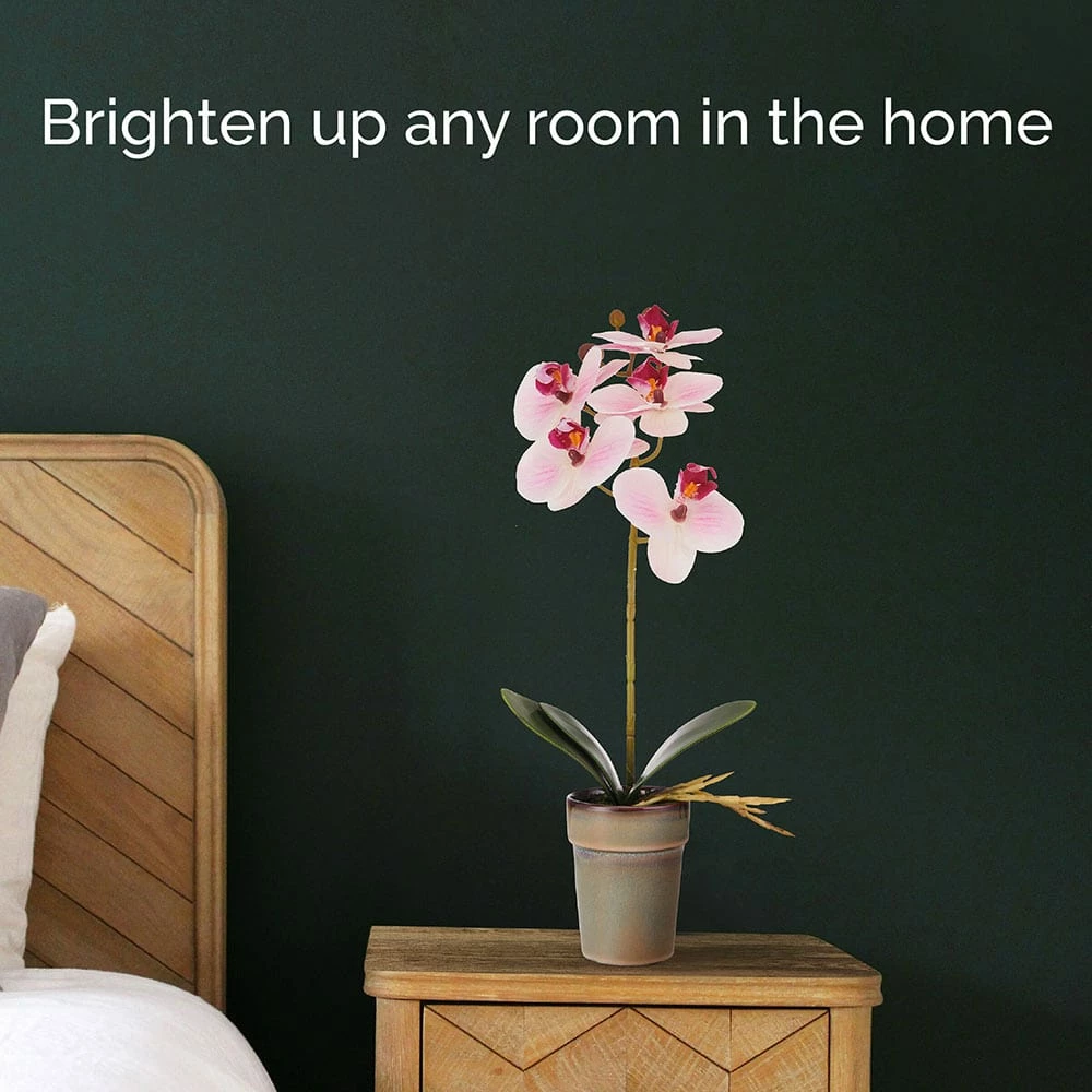 Flash Sale 🔥 Mikasa® 15 Inch Faux Orchid in Pot, Watercolor Pink 🤩 5 Flash Sale 🔥 Mikasa® 15 Inch Faux Orchid in Pot, Watercolor Pink 🤩 - Image 3