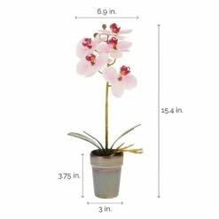Flash Sale 🔥 Mikasa® 15 Inch Faux Orchid in Pot, Watercolor Pink 🤩 9 Flash Sale 🔥 Mikasa® 15 Inch Faux Orchid in Pot, Watercolor Pink 🤩 -Mikasa Sales 2023 15 inch faux orchid in pot watercolor pink 5254406 4