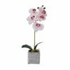 Cheap 🧨 Mikasa® 15 Inch Faux Orchid in Square Pot, Watercolor Pink 👏 2 Cheap 🧨 Mikasa® 15 Inch Faux Orchid in Square Pot, Watercolor Pink 👏 -Mikasa Sales 2023 15 inch faux orchid in square pot watercolor pink 5283168 1
