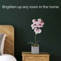 Cheap 🧨 Mikasa® 15 Inch Faux Orchid in Square Pot, Watercolor Pink 👏 10 Cheap 🧨 Mikasa® 15 Inch Faux Orchid in Square Pot, Watercolor Pink 👏 -Mikasa Sales 2023 15 inch faux orchid in square pot watercolor pink 5283168 3