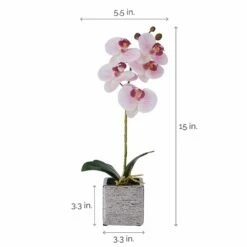 Cheap 🧨 Mikasa® 15 Inch Faux Orchid in Square Pot, Watercolor Pink 👏 11 Cheap 🧨 Mikasa® 15 Inch Faux Orchid in Square Pot, Watercolor Pink 👏 -Mikasa Sales 2023 15 inch faux orchid in square pot watercolor pink 5283168 4