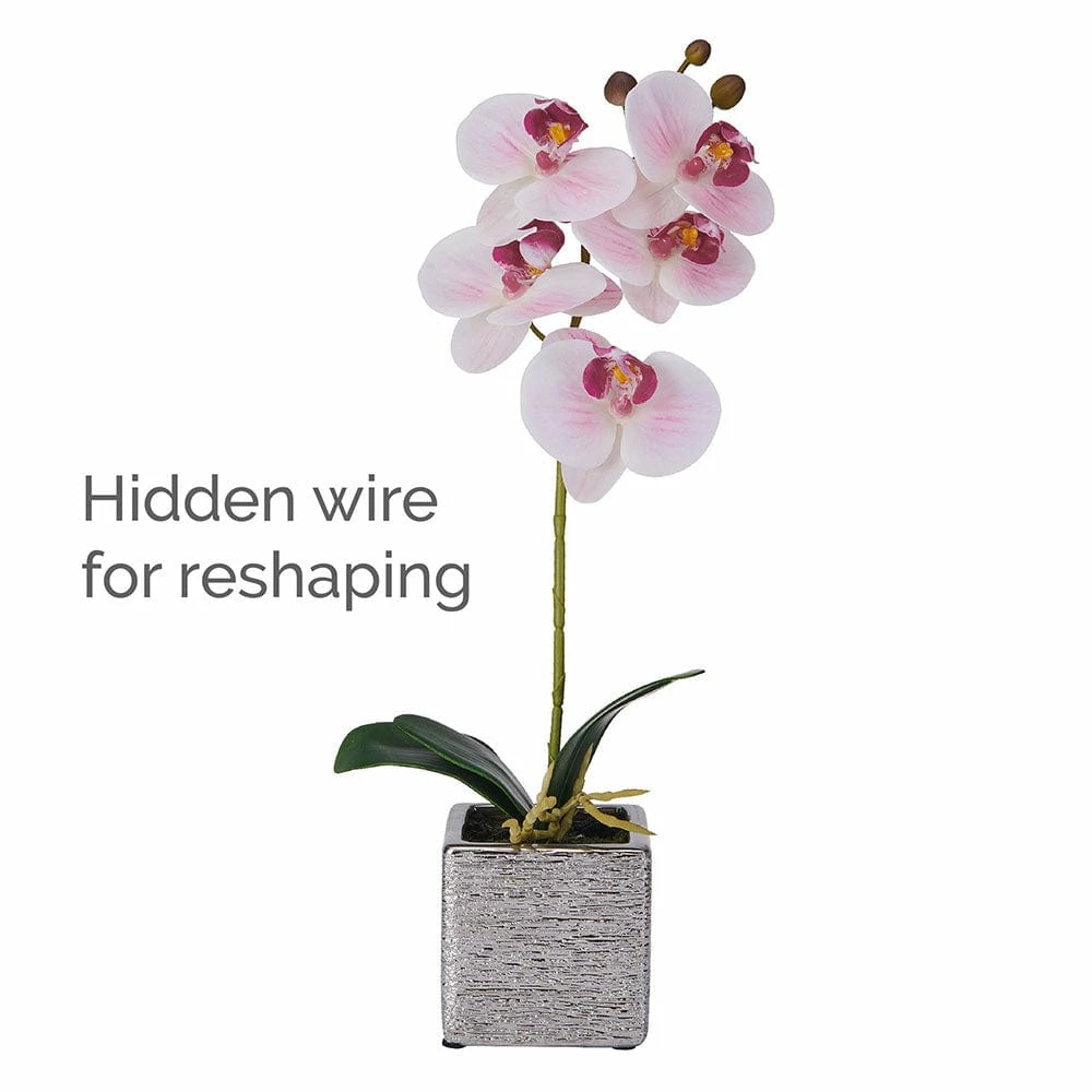 Cheap 🧨 Mikasa® 15 Inch Faux Orchid in Square Pot, Watercolor Pink 👏 8 Cheap 🧨 Mikasa® 15 Inch Faux Orchid in Square Pot, Watercolor Pink 👏 - Image 6