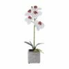 New 💯 Mikasa® 15 Inch Faux Orchid in Square Pot, White and Pink ✔️ -Mikasa Sales 2023 15 inch faux orchid in square pot white and pink 5283169 1