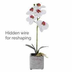 New 💯 Mikasa® 15 Inch Faux Orchid in Square Pot, White and Pink ✔️ -Mikasa Sales 2023 15 inch faux orchid in square pot white and pink 5283169 4