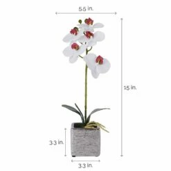 New 💯 Mikasa® 15 Inch Faux Orchid in Square Pot, White and Pink ✔️ -Mikasa Sales 2023 15 inch faux orchid in square pot white and pink 5283169 5