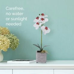 New 💯 Mikasa® 15 Inch Faux Orchid in Square Pot, White and Pink ✔️ -Mikasa Sales 2023 15 inch faux orchid in square pot white and pink 5283169 6