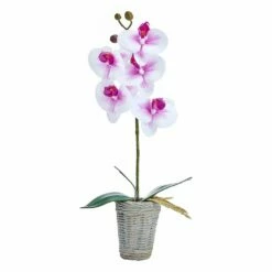 Outlet 👏 Mikasa® 16 Inch Faux Orchid in Basket Pot, White and Fuchsia 🔥