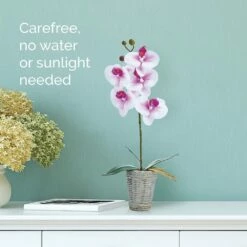 Outlet 👏 Mikasa® 16 Inch Faux Orchid in Basket Pot, White and Fuchsia 🔥 -Mikasa Sales 2023 16 inch faux orchid in basket pot white and fuchsia 5291150 3