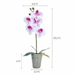 Outlet 👏 Mikasa® 16 Inch Faux Orchid in Basket Pot, White and Fuchsia 🔥 -Mikasa Sales 2023 16 inch faux orchid in basket pot white and fuchsia 5291150 4