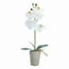 Outlet 😉 Mikasa® 16 Inch Faux Orchid in Basket Pot, White and Yellow 🔔 -Mikasa Sales 2023 16 inch faux orchid in basket pot white and yellow 5291152 1