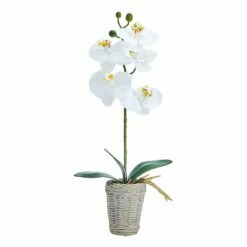 Outlet 😉 Mikasa® 16 Inch Faux Orchid in Basket Pot, White and Yellow 🔔