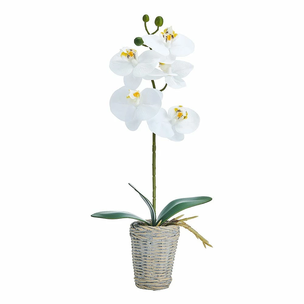 Outlet 😉 Mikasa® 16 Inch Faux Orchid in Basket Pot, White and Yellow 🔔 3 Outlet 😉 Mikasa® 16 Inch Faux Orchid in Basket Pot, White and Yellow 🔔