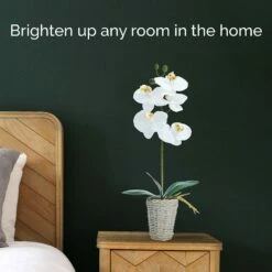 Outlet 😉 Mikasa® 16 Inch Faux Orchid in Basket Pot, White and Yellow 🔔 8 Outlet 😉 Mikasa® 16 Inch Faux Orchid in Basket Pot, White and Yellow 🔔 -Mikasa Sales 2023 16 inch faux orchid in basket pot white and yellow 5291152 3