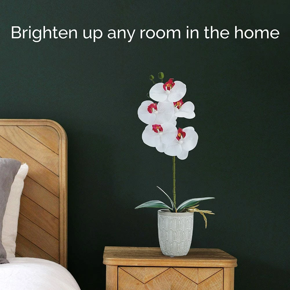 Hot Sale 😍 Mikasa® 16 Inch Faux Orchid in Geometric Pot, White and Pink 🔥 4 Hot Sale 😍 Mikasa® 16 Inch Faux Orchid in Geometric Pot, White and Pink 🔥 - Image 2