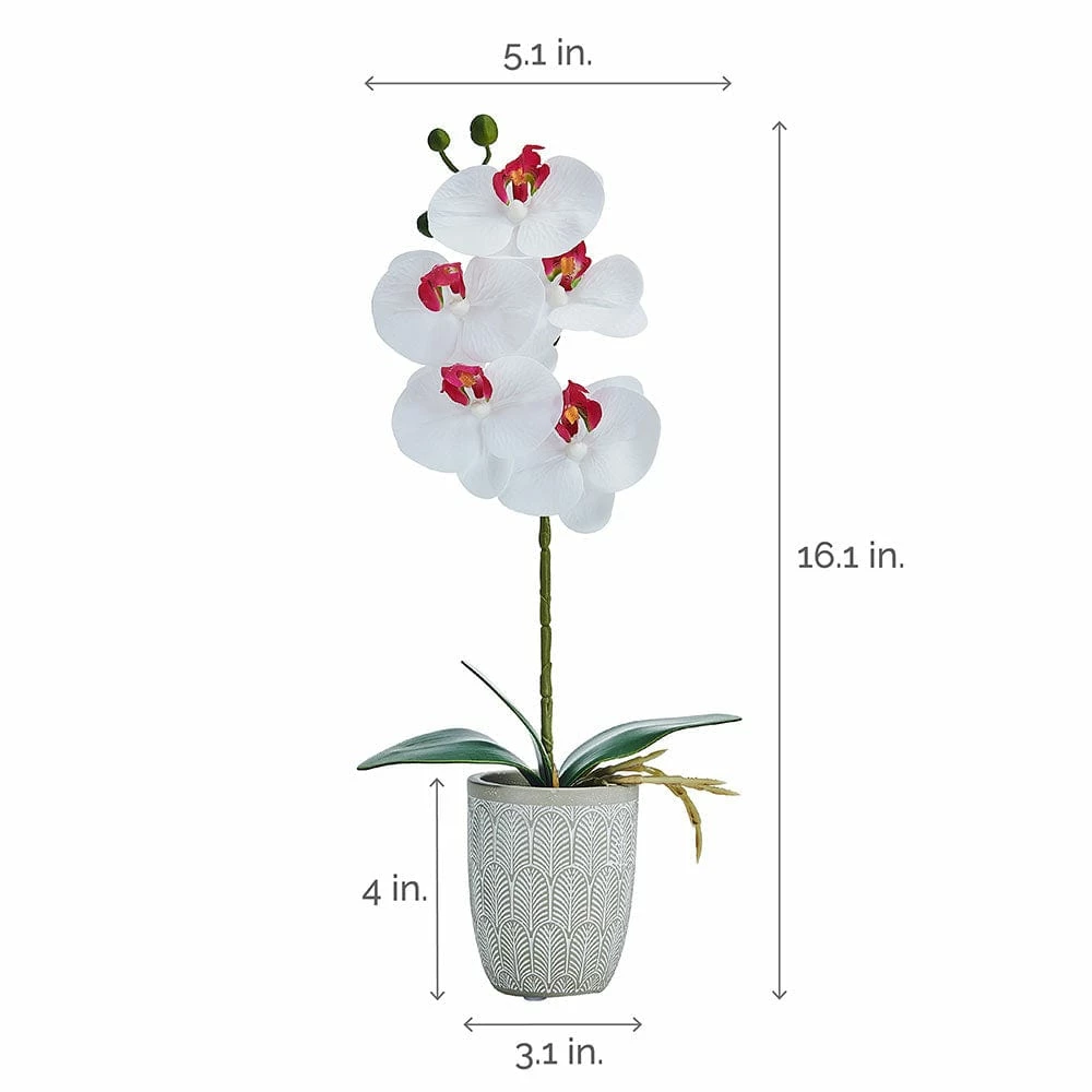 Hot Sale 😍 Mikasa® 16 Inch Faux Orchid in Geometric Pot, White and Pink 🔥 6 Hot Sale 😍 Mikasa® 16 Inch Faux Orchid in Geometric Pot, White and Pink 🔥 - Image 4