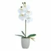 Coupon 💯 Mikasa® 16 Inch Faux Orchid in Geometric Pot, White and Yellow ⌛ 2 Coupon 💯 Mikasa® 16 Inch Faux Orchid in Geometric Pot, White and Yellow ⌛ -Mikasa Sales 2023 16 inch faux orchid in geometric pot white and yellow 5293726 1
