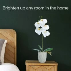 Coupon 💯 Mikasa® 16 Inch Faux Orchid in Geometric Pot, White and Yellow ⌛ -Mikasa Sales 2023 16 inch faux orchid in geometric pot white and yellow 5293726 3