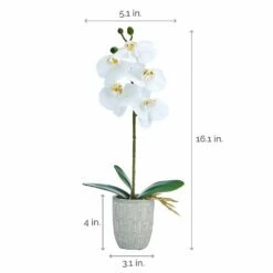 Coupon 💯 Mikasa® 16 Inch Faux Orchid in Geometric Pot, White and Yellow ⌛ -Mikasa Sales 2023 16 inch faux orchid in geometric pot white and yellow 5293726 4