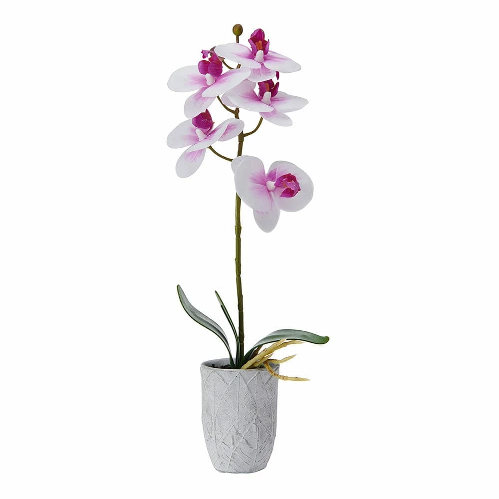 Wholesale 👏 Mikasa® 16 Inch Faux Orchid in Grey Pot, White and Fuchsia 🎉 3 Wholesale 👏 Mikasa® 16 Inch Faux Orchid in Grey Pot, White and Fuchsia 🎉