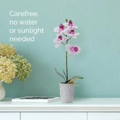 Wholesale 👏 Mikasa® 16 Inch Faux Orchid in Grey Pot, White and Fuchsia 🎉 8 Wholesale 👏 Mikasa® 16 Inch Faux Orchid in Grey Pot, White and Fuchsia 🎉 -Mikasa Sales 2023 16 inch faux orchid in grey pot white and fuchsia 5291153 3