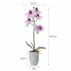 Wholesale 👏 Mikasa® 16 Inch Faux Orchid in Grey Pot, White and Fuchsia 🎉 9 Wholesale 👏 Mikasa® 16 Inch Faux Orchid in Grey Pot, White and Fuchsia 🎉 -Mikasa Sales 2023 16 inch faux orchid in grey pot white and fuchsia 5291153 4