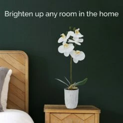 Flash Sale 😉 Mikasa® 16 Inch Faux Orchid in Grey Pot, White and Yellow 😀 -Mikasa Sales 2023 16 inch faux orchid in grey pot white and yellow 5291155 3