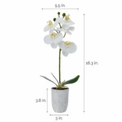 Flash Sale 😉 Mikasa® 16 Inch Faux Orchid in Grey Pot, White and Yellow 😀 -Mikasa Sales 2023 16 inch faux orchid in grey pot white and yellow 5291155 4