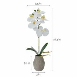 Best Pirce 🛒 Mikasa® 16 Inch Faux Orchid in Pot, White and Yellow 🤩 -Mikasa Sales 2023 16 inch faux orchid in po white and yellow 5291148 4