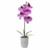 Deals 🔔 Mikasa® 16 Inch Faux Orchid in Pot, Fuchsia 🧨 -Mikasa Sales 2023 16 inch faux orchid in pot fuchsia 5291154 1