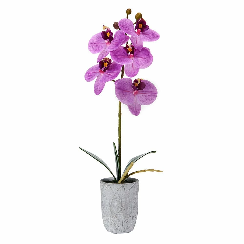 Deals 🔔 Mikasa® 16 Inch Faux Orchid in Pot, Fuchsia 🧨 3 Deals 🔔 Mikasa® 16 Inch Faux Orchid in Pot, Fuchsia 🧨