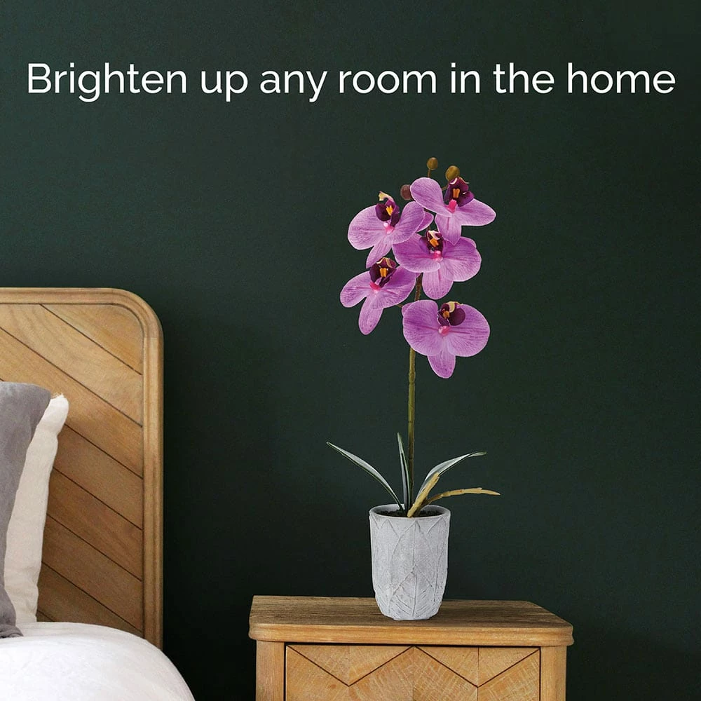 Deals 🔔 Mikasa® 16 Inch Faux Orchid in Pot, Fuchsia 🧨 4 Deals 🔔 Mikasa® 16 Inch Faux Orchid in Pot, Fuchsia 🧨 - Image 2