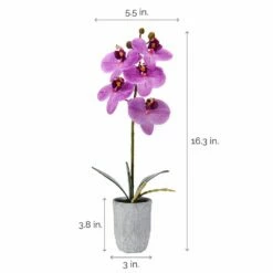Deals 🔔 Mikasa® 16 Inch Faux Orchid in Pot, Fuchsia 🧨 9 Deals 🔔 Mikasa® 16 Inch Faux Orchid in Pot, Fuchsia 🧨 -Mikasa Sales 2023 16 inch faux orchid in pot fuchsia 5291154 4