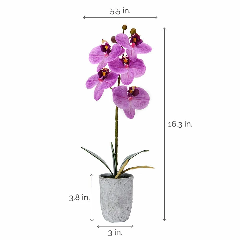 Deals 🔔 Mikasa® 16 Inch Faux Orchid in Pot, Fuchsia 🧨 6 Deals 🔔 Mikasa® 16 Inch Faux Orchid in Pot, Fuchsia 🧨 - Image 4