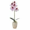 Top 10 🌟 Mikasa® 16 Inch Faux Orchid in Pot, Spotted Pink 🎉 1 Top 10 🌟 Mikasa® 16 Inch Faux Orchid in Pot, Spotted Pink 🎉 -Mikasa Sales 2023 16 inch faux orchid in pot spotted pink 5291156 1