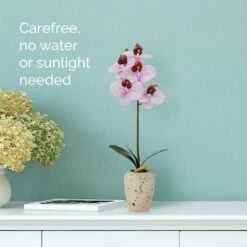 Top 10 🌟 Mikasa® 16 Inch Faux Orchid in Pot, Spotted Pink 🎉 -Mikasa Sales 2023 16 inch faux orchid in pot spotted pink 5291156 2