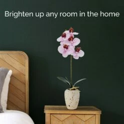 Top 10 🌟 Mikasa® 16 Inch Faux Orchid in Pot, Spotted Pink 🎉 -Mikasa Sales 2023 16 inch faux orchid in pot spotted pink 5291156 3