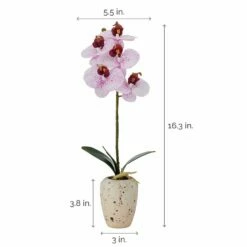 Top 10 🌟 Mikasa® 16 Inch Faux Orchid in Pot, Spotted Pink 🎉 -Mikasa Sales 2023 16 inch faux orchid in pot spotted pink 5291156 4