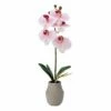 Budget ⭐ Mikasa® 16 Inch Faux Orchid in Pot, Watercolor Pink 😀