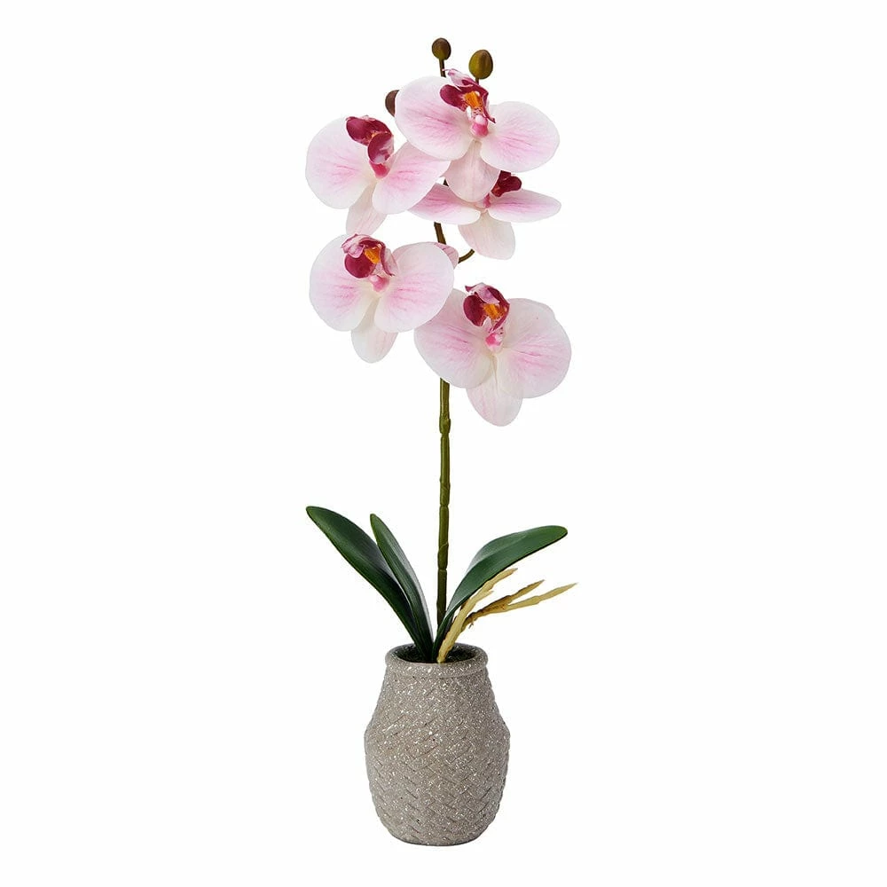 Budget ⭐ Mikasa® 16 Inch Faux Orchid in Pot, Watercolor Pink 😀 3 Budget ⭐ Mikasa® 16 Inch Faux Orchid in Pot, Watercolor Pink 😀