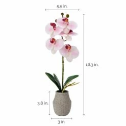 Budget ⭐ Mikasa® 16 Inch Faux Orchid in Pot, Watercolor Pink 😀 9 Budget ⭐ Mikasa® 16 Inch Faux Orchid in Pot, Watercolor Pink 😀 -Mikasa Sales 2023 16 inch faux orchid in pot watercolor pink 5291146 4