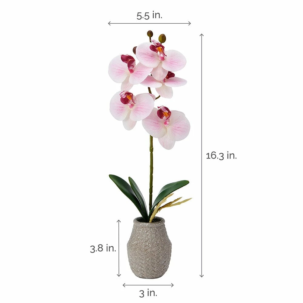 Budget ⭐ Mikasa® 16 Inch Faux Orchid in Pot, Watercolor Pink 😀 6 Budget ⭐ Mikasa® 16 Inch Faux Orchid in Pot, Watercolor Pink 😀 - Image 4